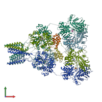 PDB entry 4u5f coloured by chain, front view.
