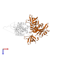 Tyrosine-protein kinase HCK in PDB entry 4u5w, assembly 1, top view.