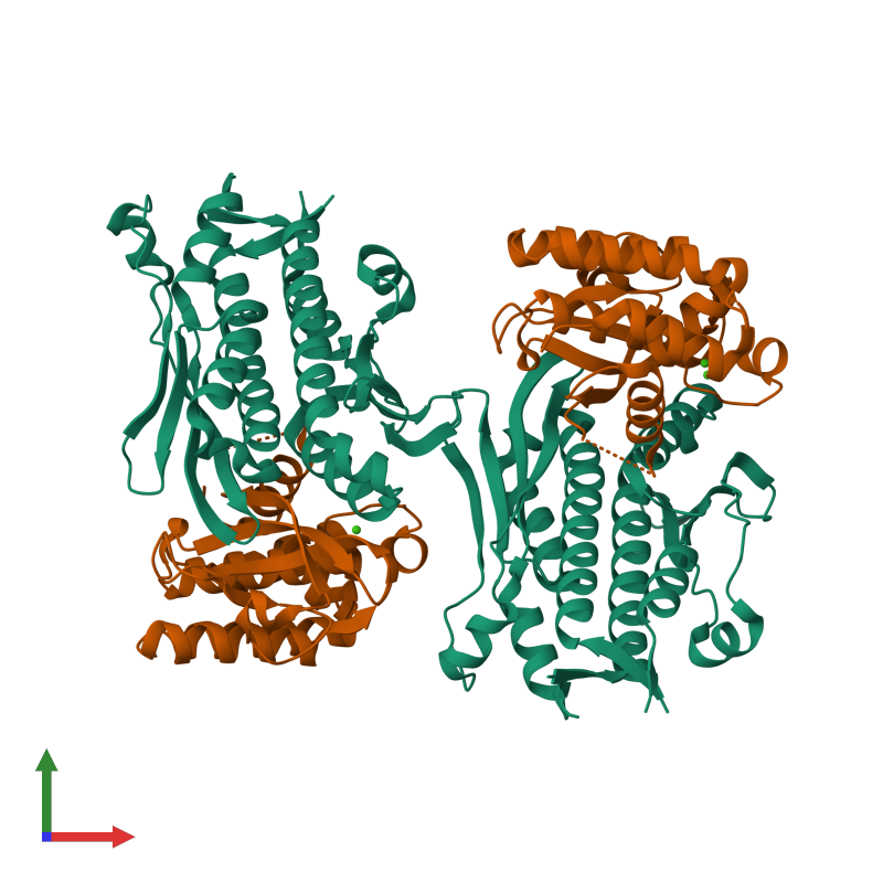 <div class='caption-body'><ul class ='image_legend_ul'>The deposited structure of PDB entry 4u65 coloured by chemically distinct molecules and viewed from the front. The entry contains: <li class ='image_legend_li'>4 copies of Two component histidine kinase, GGDEF domain protein/EAL domain protein</li> <li class ='image_legend_li'>2 copies of Putative cystine protease</li><li class ='image_legend_li'>[]<ul class ='image_legend_ul'><li class ='image_legend_li'>4 copies of CALCIUM ION</li></ul></li></div>