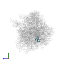 Small ribosomal subunit protein uS15 in PDB entry 4u6f, assembly 2, side view.