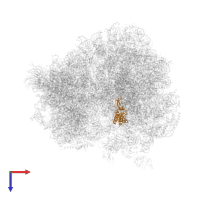 Large ribosomal subunit protein uL16 in PDB entry 4u6f, assembly 2, top view.