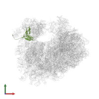 Small ribosomal subunit protein uS3 in PDB entry 4u6f, assembly 2, front view.