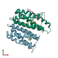 PDB entry 4uc3 coloured by chain, front view.