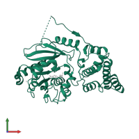 Replicase in PDB entry 4uck, assembly 1, front view.