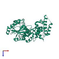 Replicase in PDB entry 4uck, assembly 1, top view.