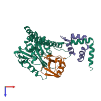 Hetero trimeric assembly 2 of PDB entry 4uf6 coloured by chemically distinct molecules, top view.