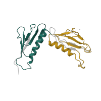 The deposited structure of PDB entry 4ug0 contains 2 copies of Pfam domain PF00347 (Ribosomal protein L6) in Large ribosomal subunit protein uL6. Showing 2 copies in chain K [auth LH].