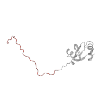 The deposited structure of PDB entry 4ug0 contains 1 copy of Pfam domain PF03939 (Ribosomal protein L23, N-terminal domain) in Large ribosomal subunit protein uL23. Showing 1 copy in chain Z [auth LX].