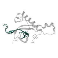 The deposited structure of PDB entry 4ug0 contains 1 copy of Pfam domain PF00467 (KOW motif) in Large ribosomal subunit protein eL27. Showing 1 copy in chain BA [auth LZ].