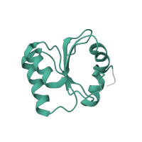 The deposited structure of PDB entry 4ug0 contains 1 copy of Pfam domain PF01248 (Ribosomal protein L7Ae/L30e/S12e/Gadd45 family) in Large ribosomal subunit protein eL30. Showing 1 copy in chain EA [auth Lc].