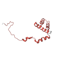 The deposited structure of PDB entry 4ug0 contains 1 copy of Pfam domain PF01158 (Ribosomal protein L36e) in Large ribosomal subunit protein eL36. Showing 1 copy in chain KA [auth Li].