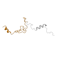 The deposited structure of PDB entry 4ug0 contains 1 copy of Pfam domain PF01907 (Ribosomal protein L37e) in Large ribosomal subunit protein eL37. Showing 1 copy in chain LA [auth Lj].