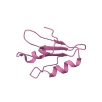 The deposited structure of PDB entry 4ug0 contains 1 copy of Pfam domain PF01781 (Ribosomal L38e protein family) in Large ribosomal subunit protein eL38. Showing 1 copy in chain MA [auth Lk].