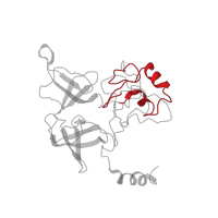 The deposited structure of PDB entry 4ug0 contains 1 copy of Pfam domain PF01479 (S4 domain) in Small ribosomal subunit protein eS4, X isoform. Showing 1 copy in chain ZA [auth SE].