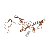 The deposited structure of PDB entry 4ug0 contains 1 copy of Pfam domain PF01201 (Ribosomal protein S8e) in Small ribosomal subunit protein eS8. Showing 1 copy in chain CB [auth SI].