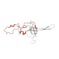 The deposited structure of PDB entry 4ug0 contains 1 copy of Pfam domain PF16205 (Ribosomal_S17 N-terminal) in Small ribosomal subunit protein uS17. Showing 1 copy in chain EB [auth SL].