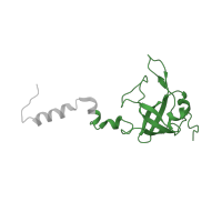 The deposited structure of PDB entry 4ug0 contains 1 copy of Pfam domain PF00164 (Ribosomal protein S12/S23) in Small ribosomal subunit protein uS12. Showing 1 copy in chain MB [auth SX].