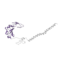 The deposited structure of PDB entry 4ug0 contains 1 copy of Pfam domain PF01092 (Ribosomal protein S6e) in Small ribosomal subunit protein eS6. Showing 1 copy in chain TB [auth SG].