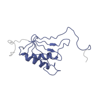 The deposited structure of PDB entry 4ug0 contains 1 copy of Pfam domain PF00411 (Ribosomal protein S11) in Small ribosomal subunit protein uS11. Showing 1 copy in chain XB [auth SO].