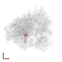 Ribosomal protein uL16-like in PDB entry 4ug0, assembly 1, front view.