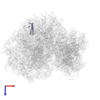 Large ribosomal subunit protein uL29 in PDB entry 4ug0, assembly 1, top view.