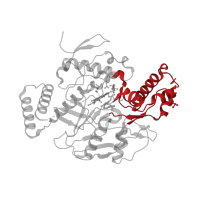 The deposited structure of PDB entry 4uh8 contains 2 copies of CATH domain 3.90.1230.10 (Bovine Endothelial Nitric Oxide Synthase Heme Domain; Chain: A,domain 3) in Nitric oxide synthase 3. Showing 1 copy in chain A.