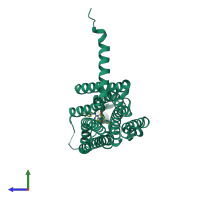 PDB entry 4uhr coloured by chain, side view.