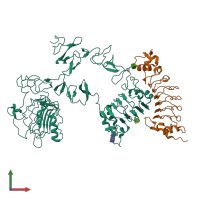PDB entry 4uip coloured by chain, front view.