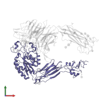 Integrin beta-6 in PDB entry 4um9, assembly 1, front view.