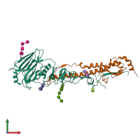 PDB entry 4uo4 coloured by chain, front view.
