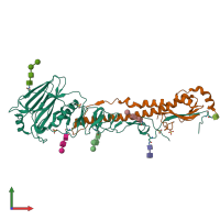 PDB entry 4uoa coloured by chain, front view.