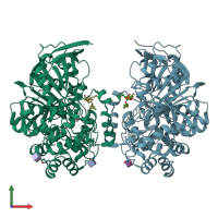 PDB entry 4upd coloured by chain, front view.
