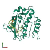 Monomeric assembly 1 of PDB entry 4urm coloured by chemically distinct molecules, front view.