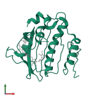 DNA gyrase subunit B in PDB entry 4urm, assembly 1, front view.