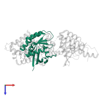 GTPase HRas, N-terminally processed in PDB entry 4urx, assembly 1, top view.