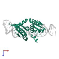 Homing endonuclease I-DmoI in PDB entry 4ut0, assembly 2, top view.