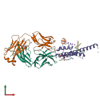 PDB entry 4uuj coloured by chain, front view.