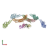 PDB entry 4uuk coloured by chain, front view.
