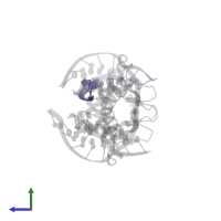 5'-D(*AP*CP*TP*TP*CP*CP*GP*GP*TP*CP)-3' in PDB entry 4uuv, assembly 1, side view.