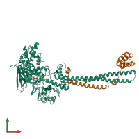 PDB entry 4uvc coloured by chain, front view.