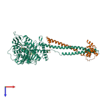 PDB entry 4uvc coloured by chain, top view.