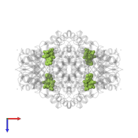 NICOTINAMIDE-ADENINE-DINUCLEOTIDE in PDB entry 4uvd, assembly 1, top view.