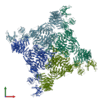 PDB entry 4uwe coloured by chain, front view.