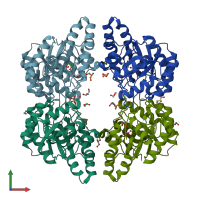 PDB entry 4uxd coloured by chain, front view.