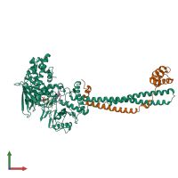 PDB entry 4uxn coloured by chain, front view.