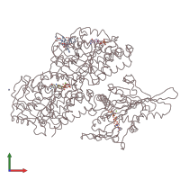 PDB entry 4uxp coloured by chain, front view.