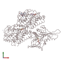 PDB entry 4uxr coloured by chain, front view.