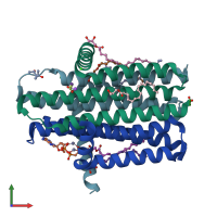 PDB entry 4uxx coloured by chain, front view.