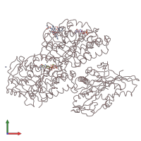 PDB entry 4uxy coloured by chain, front view.