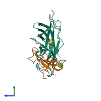 Hetero dimeric assembly 2 of PDB entry 4uy2 coloured by chemically distinct molecules, side view.